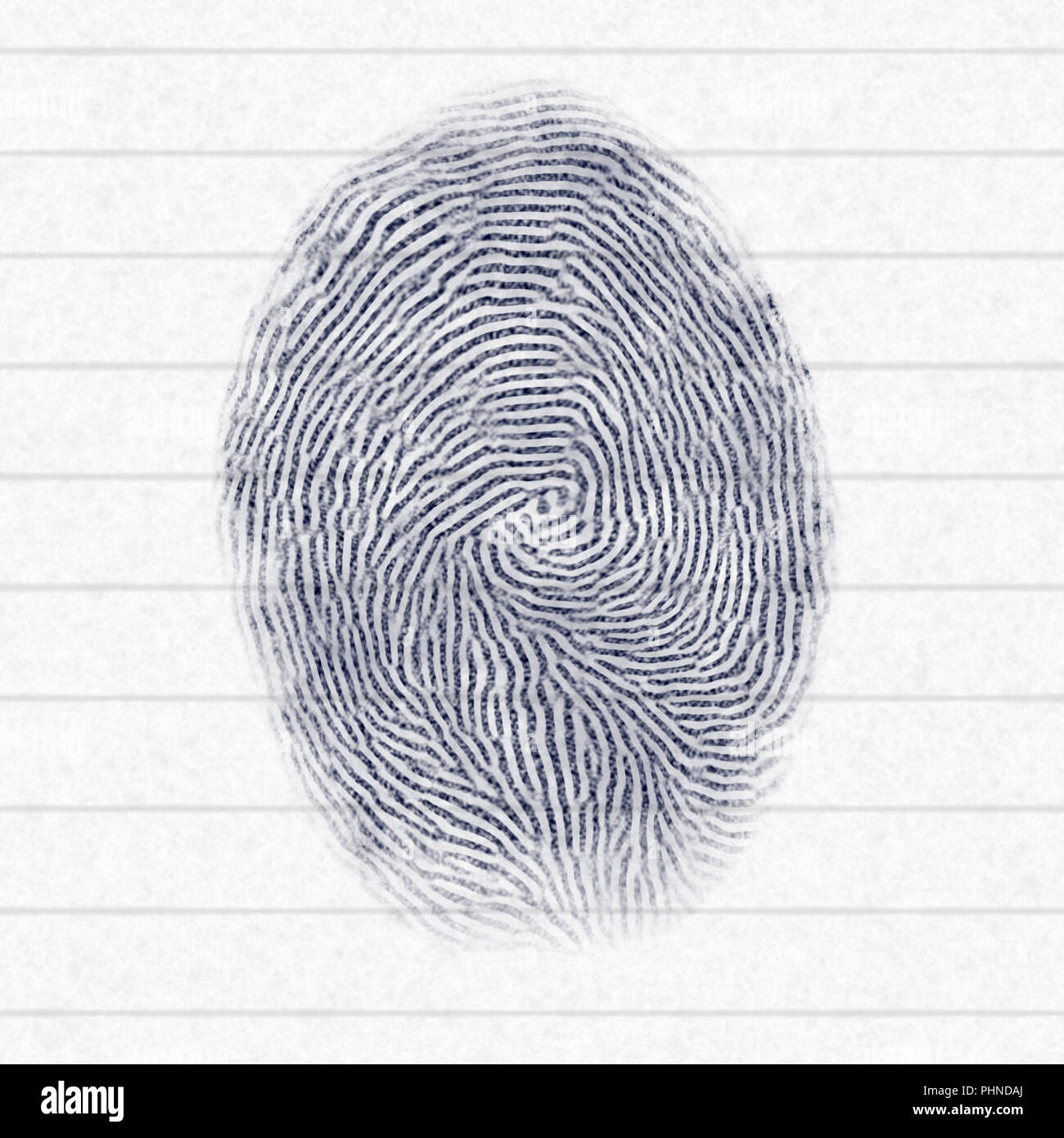 typical finger print Stock Photo Alamy