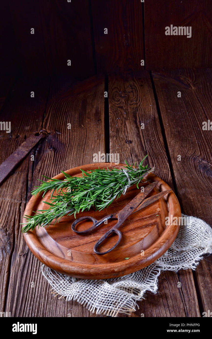Rosmarin (Rosmarinus officinalis Stock Photo - Alamy