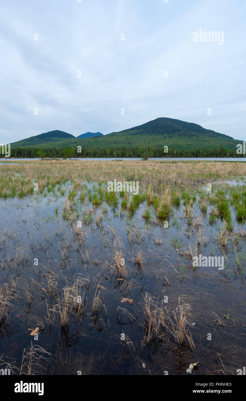 Bigelow Mountain behind the Flagstaff Lake. Cordgrass on a marshy shore. Scenic overlook on Maine’s High Peaks Scenic Byway. Eustis, ME, USA Stock Photo
