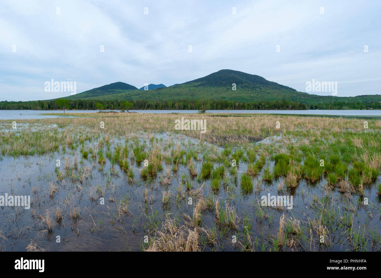 Bigelow Mountain behind the Flagstaff Lake. Cordgrass on a marshy shore