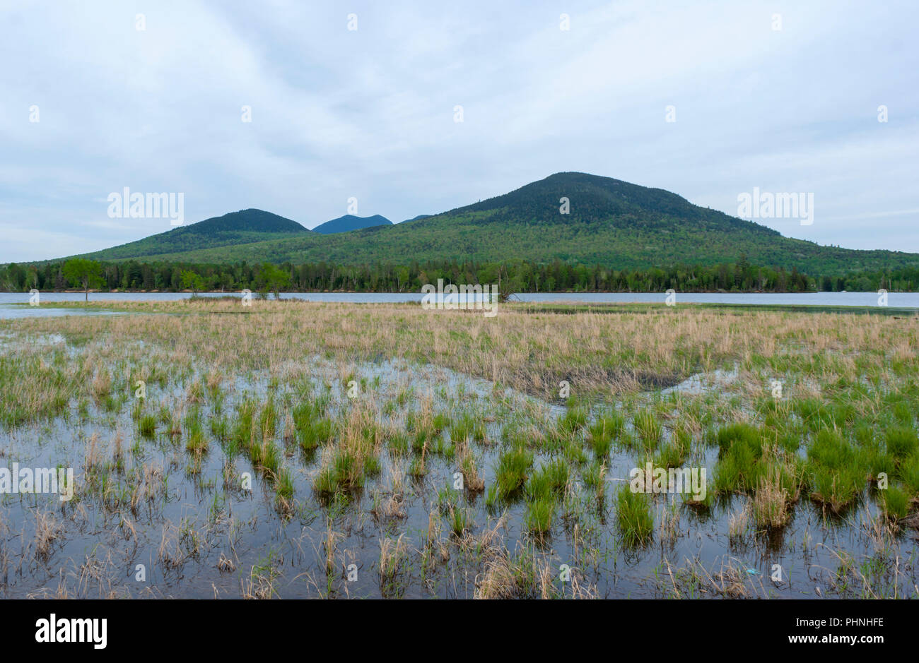 Bigelow Mountain behind the Flagstaff Lake. Cordgrass on a marshy shore