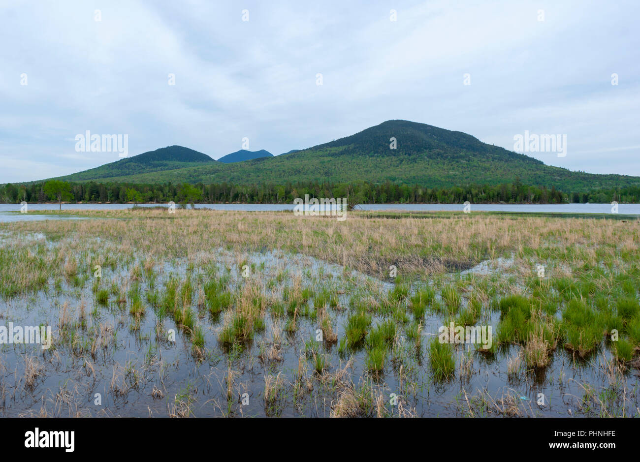 Bigelow Mountain behind the Flagstaff Lake. Cordgrass on a marshy shore. Scenic overlook on Maine’s High Peaks Scenic Byway. Eustis, ME, USA Stock Photo