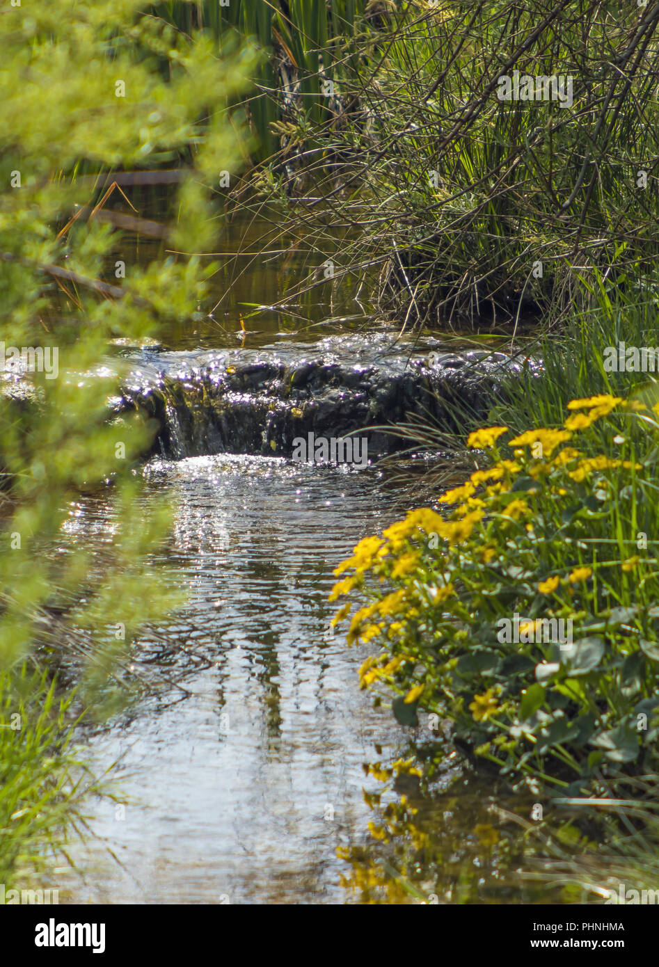Watercourse  in the former Garden Show terrain Schwenningen Stock Photo