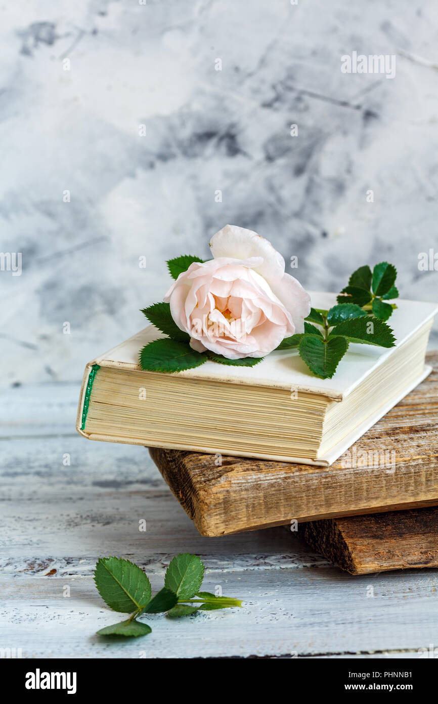 Beautiful rose on an old book. Stock Photo