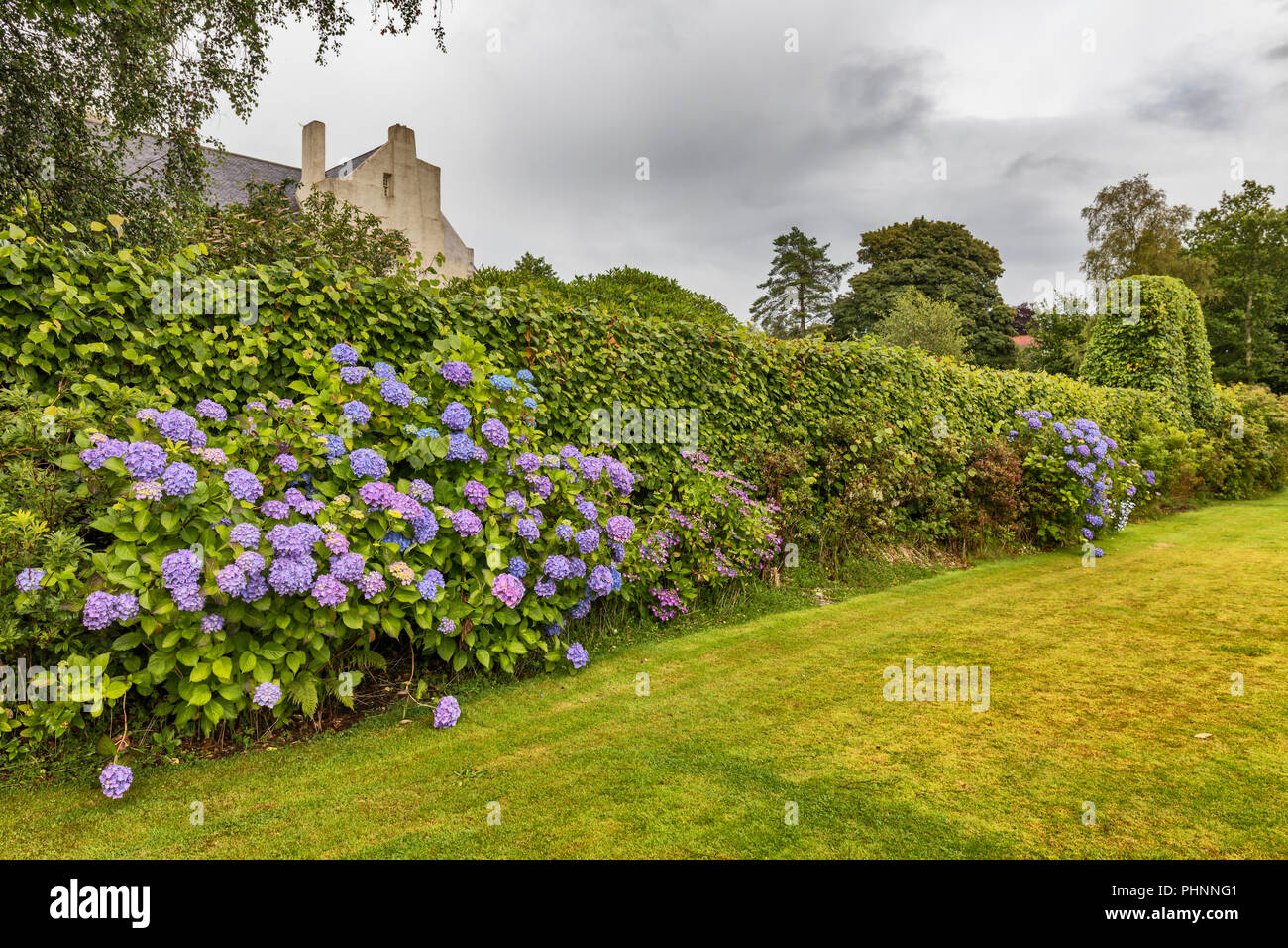 Park, Hill house, Helensburgh, Dunbartonshire, Scotland, UK Stock Photo