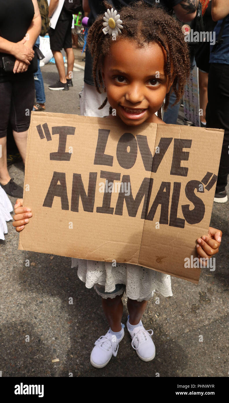 September 1, 2018 - New York City, New York, U.S. - Animal rights ...