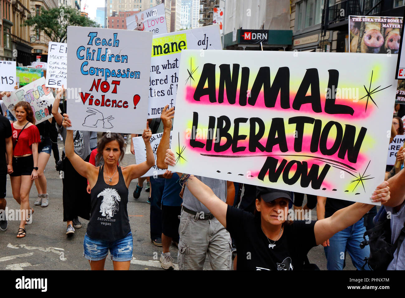 New York, NY, USA. 1st September, 2018. Animal Rights activists hold signs at the Official Animal Rights March NYC. Stock Photo