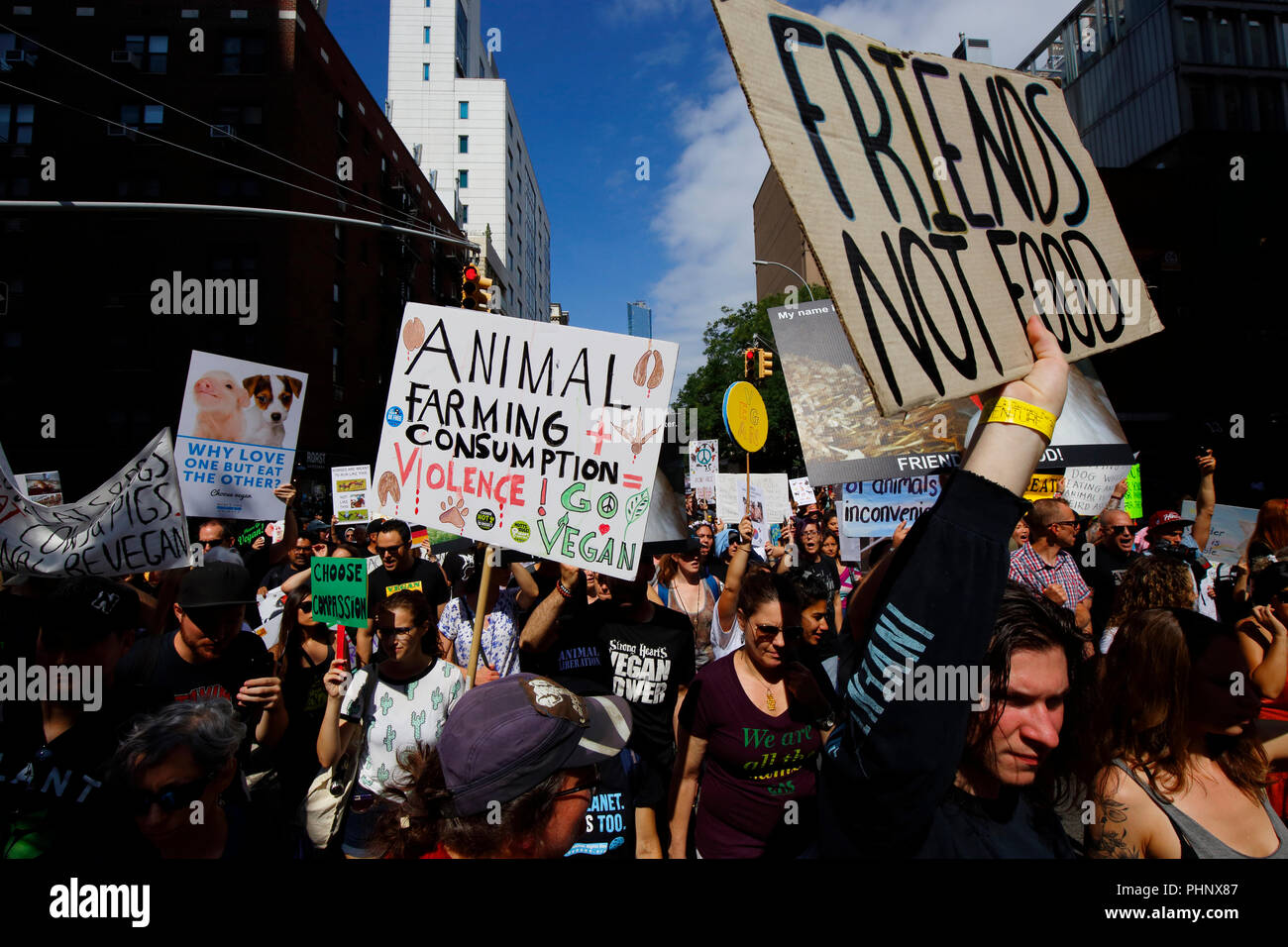 New York, NY, USA. 1st September, 2018. Protesters with a diversity of opinions, and signs at the Official Animal Rights March NYC. Stock Photo