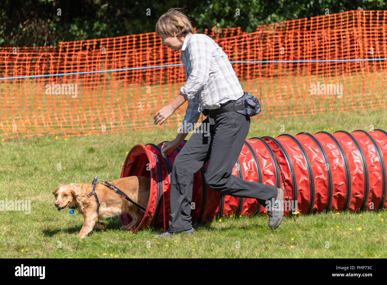 Bournemouth, UK. Sunday 2nd September 2018. A wide variety of dogs take