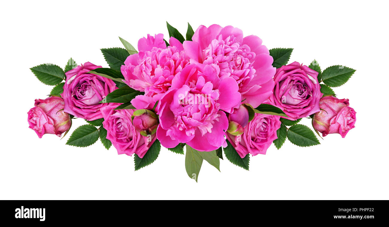 Pink peonies and rose flowers in a line floral arrangement isolated on ...