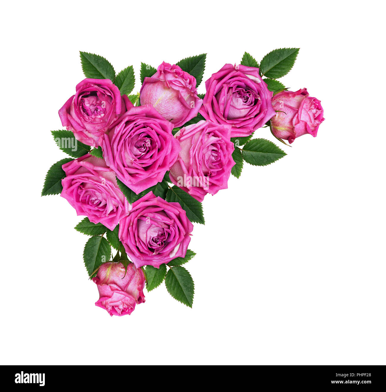 Pink rose flowers in a corner floral arrangement isolated on white ...