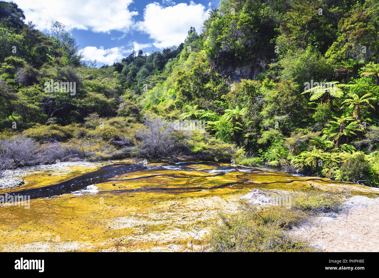 volcanic activities at waimangu Stock Photo