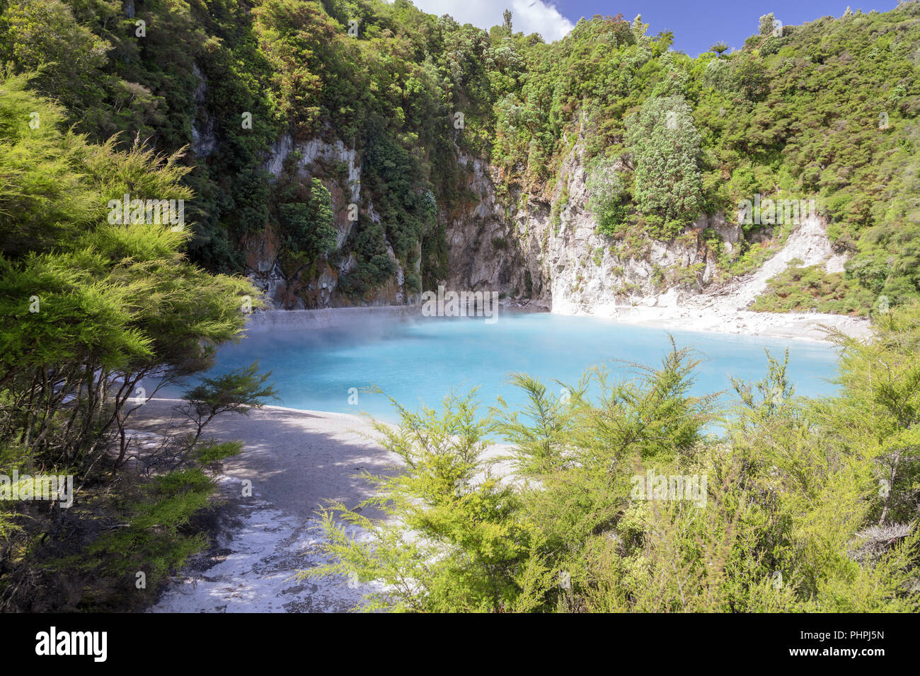 volcanic lake at waimangu Stock Photo - Alamy
