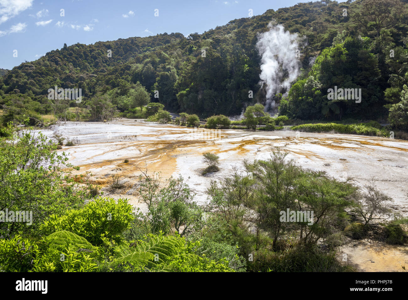 volcanic activities at waimangu Stock Photo