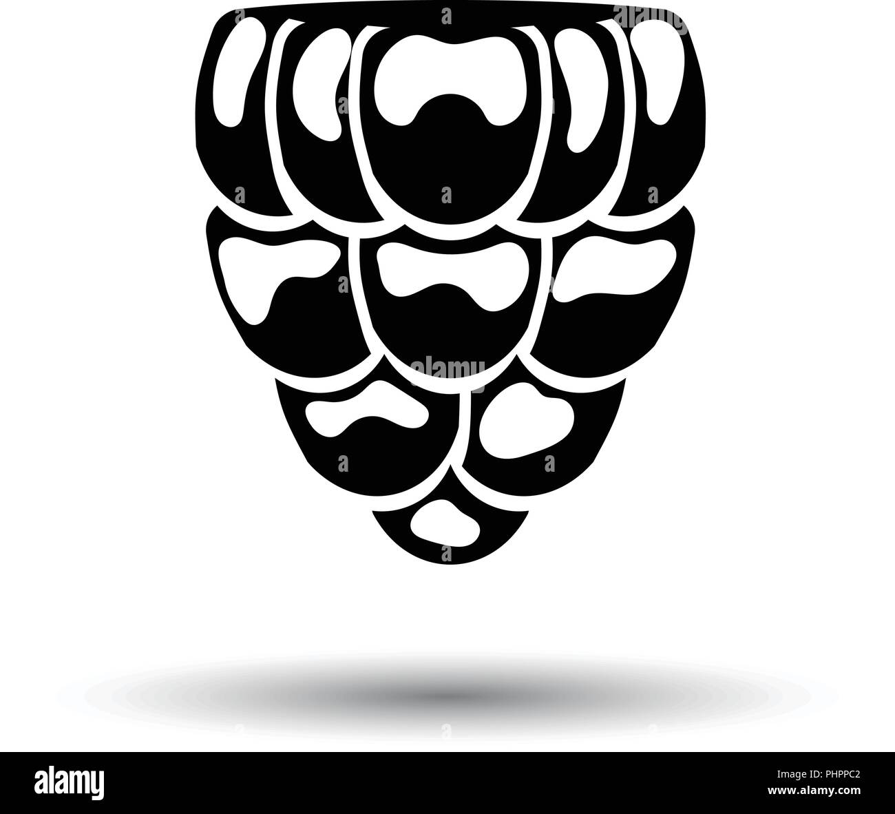 Icon of Raspberry. White background with shadow design. Vector ...