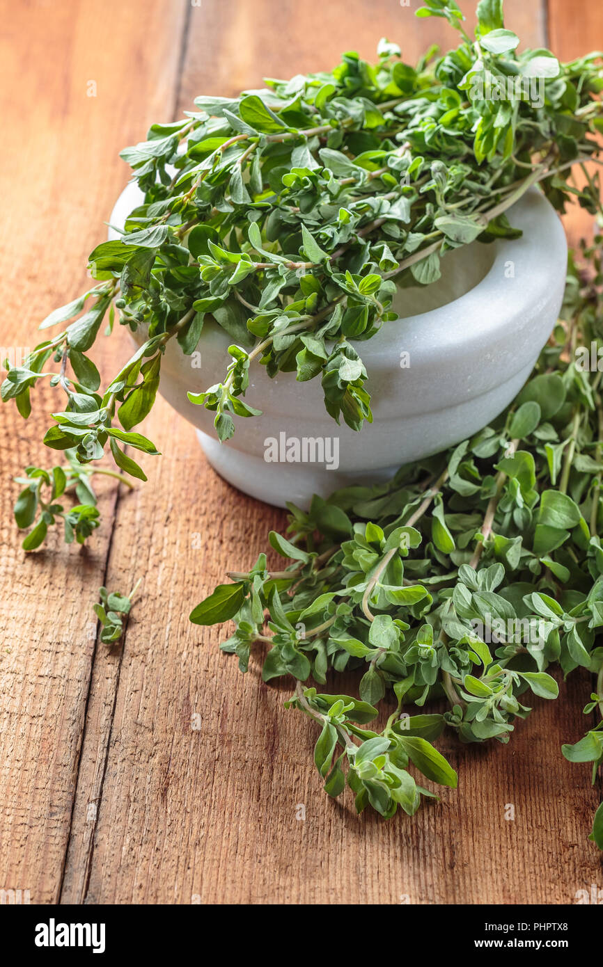 Marjoram sprig hires stock photography and images Alamy