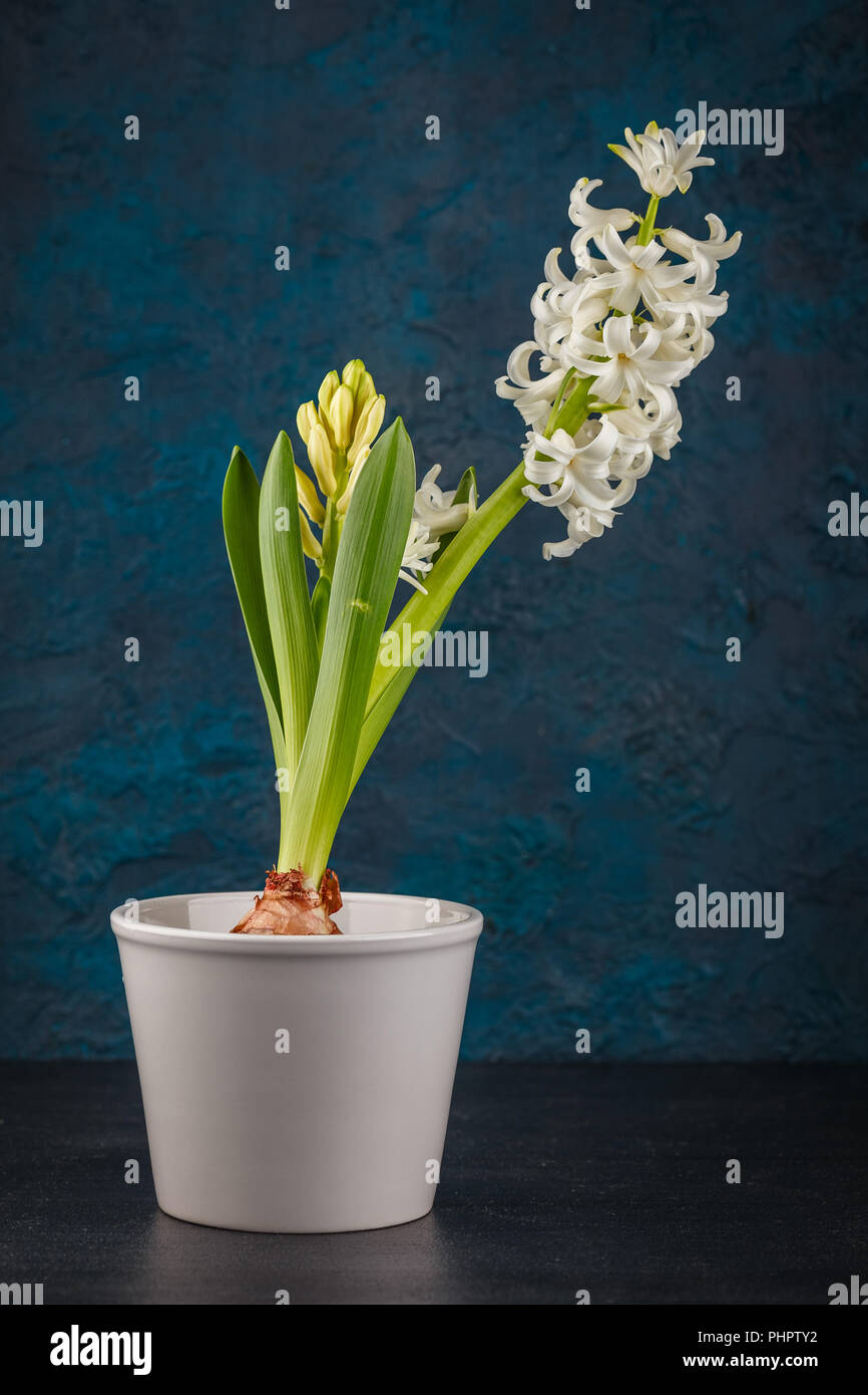 designer leggings for men