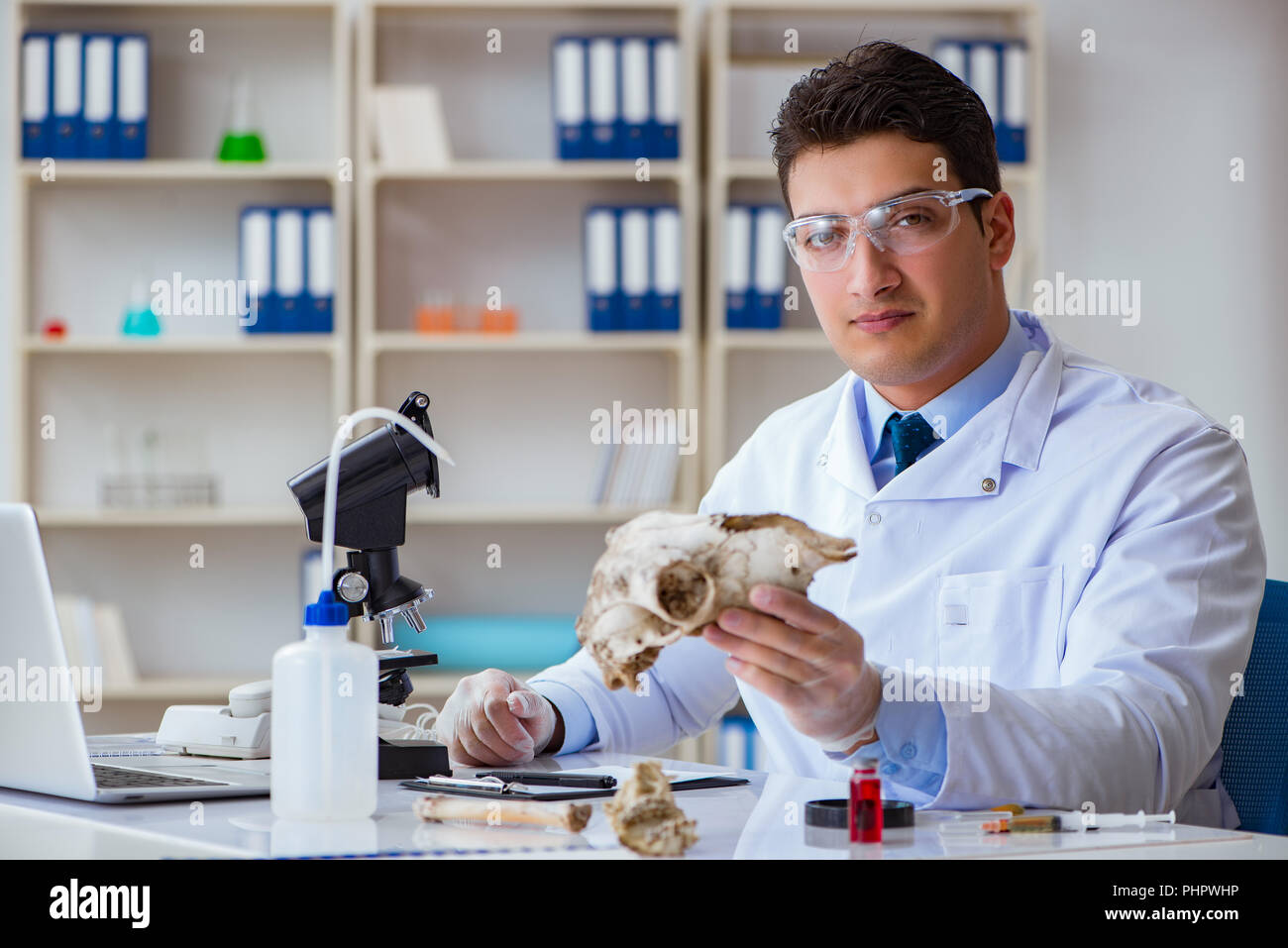 Paleontologist looking at extinct animal bone Stock Photo
