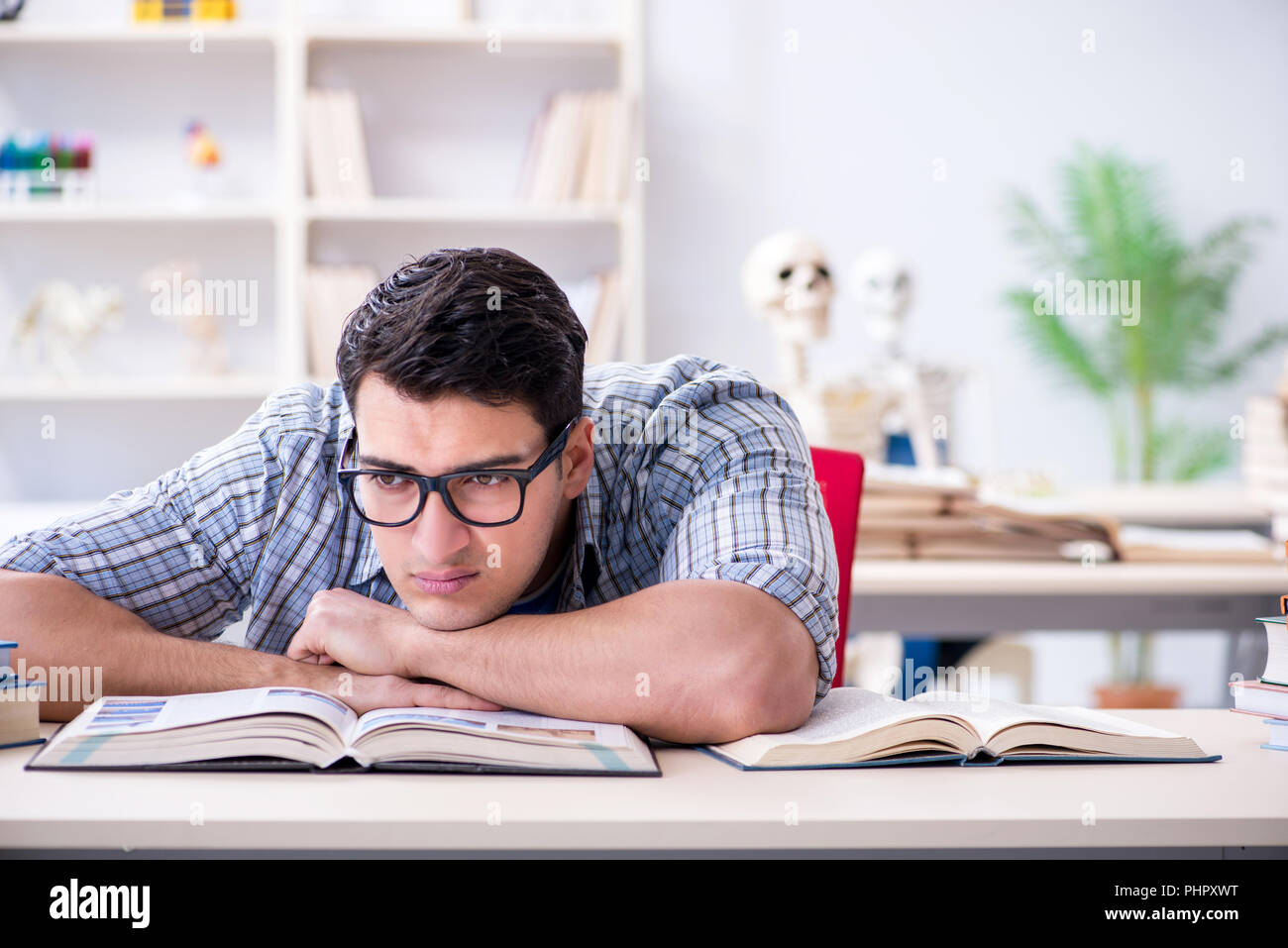 Medical student preparing for exams Stock Photo Alamy