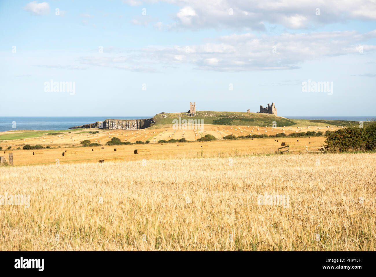 Dunstanburgh Castle, seen across corn fields from the west ...