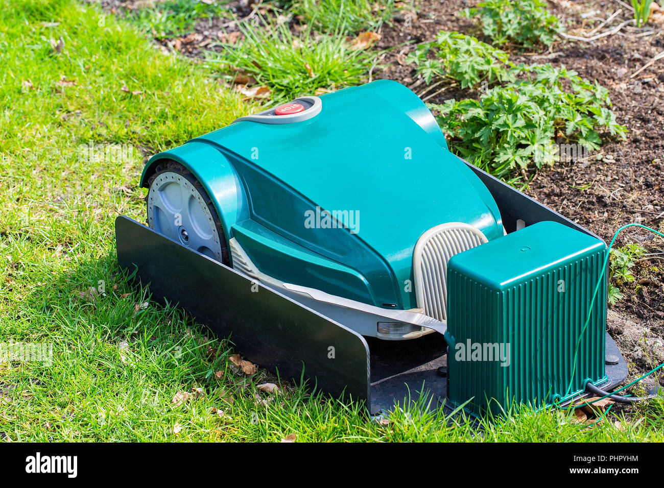 Green robotic Lawnmower charging on grass Stock Photo