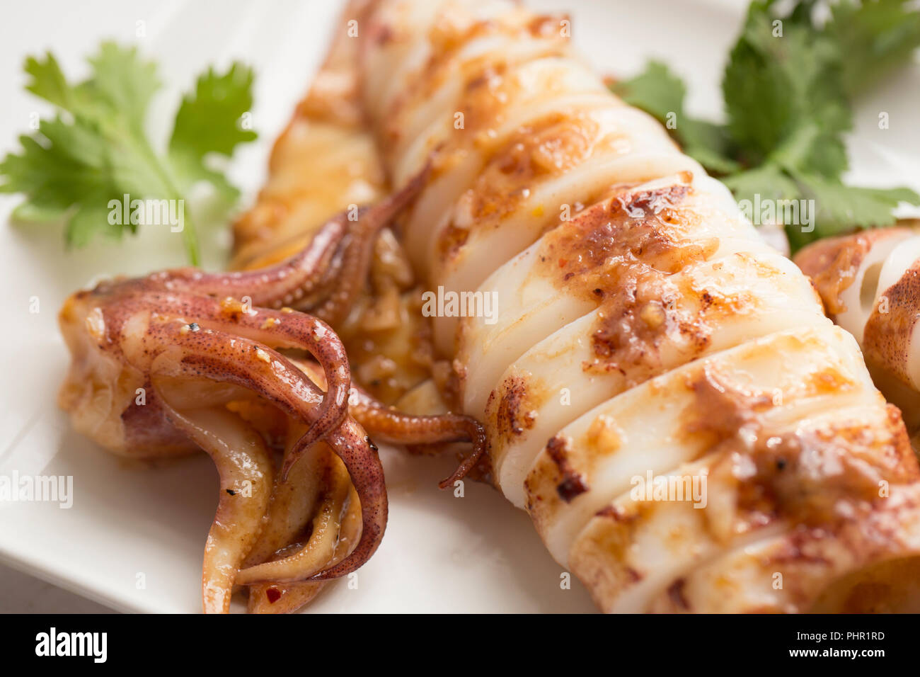 Squid, Loligo vulgaris, caught on rod and line in UK waters that have been fried with butter, vegetable oil, garlic, chili flakes and Teriyaki sauce b Stock Photo