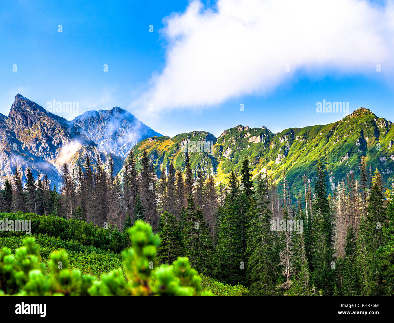 Polish Tatra mountains summer landscape with blue sky and white clouds. Stock Photo