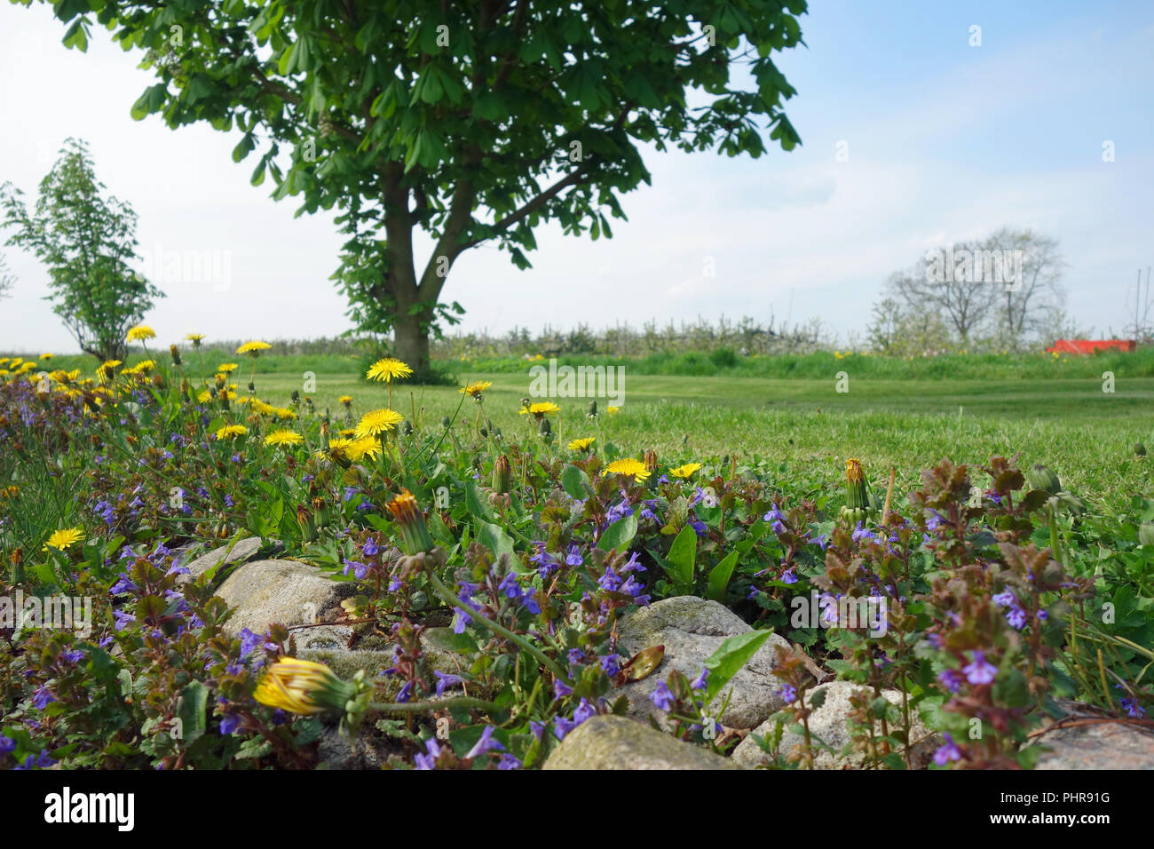 Finding Wild Flowers Stock Photos Finding Wild Flowers - 