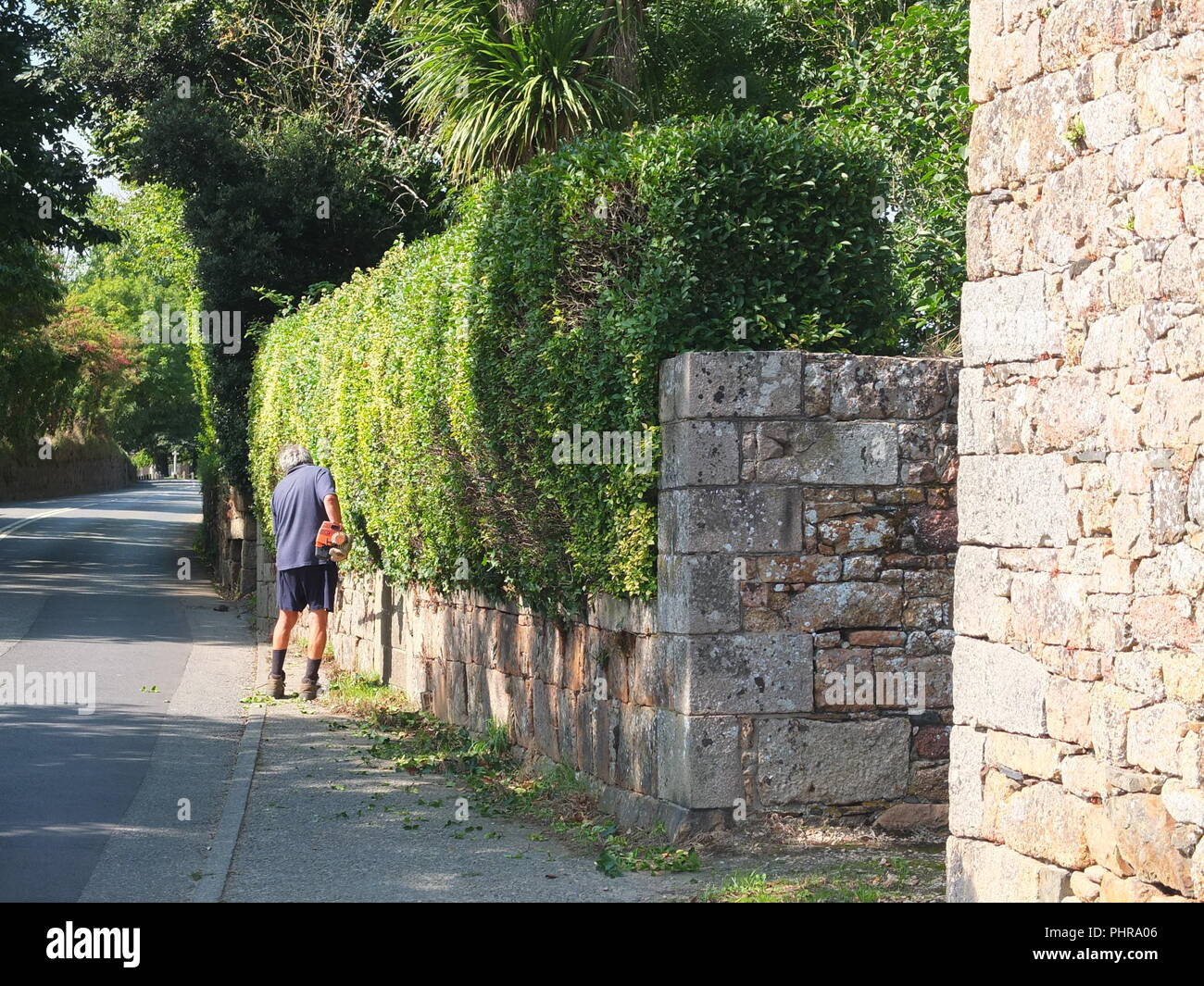 Branchage Jersey Channel Islands parishioner in the rural parish of St Ouen  cutting roadside hedge prior to biannual Branchage inspection Stock Photo -  Alamy