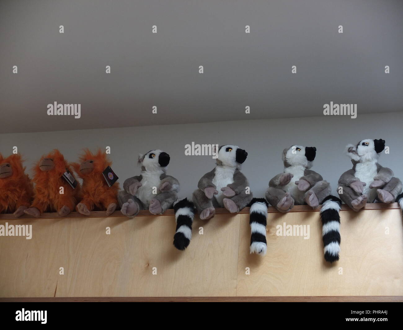 cuddly toy zoo