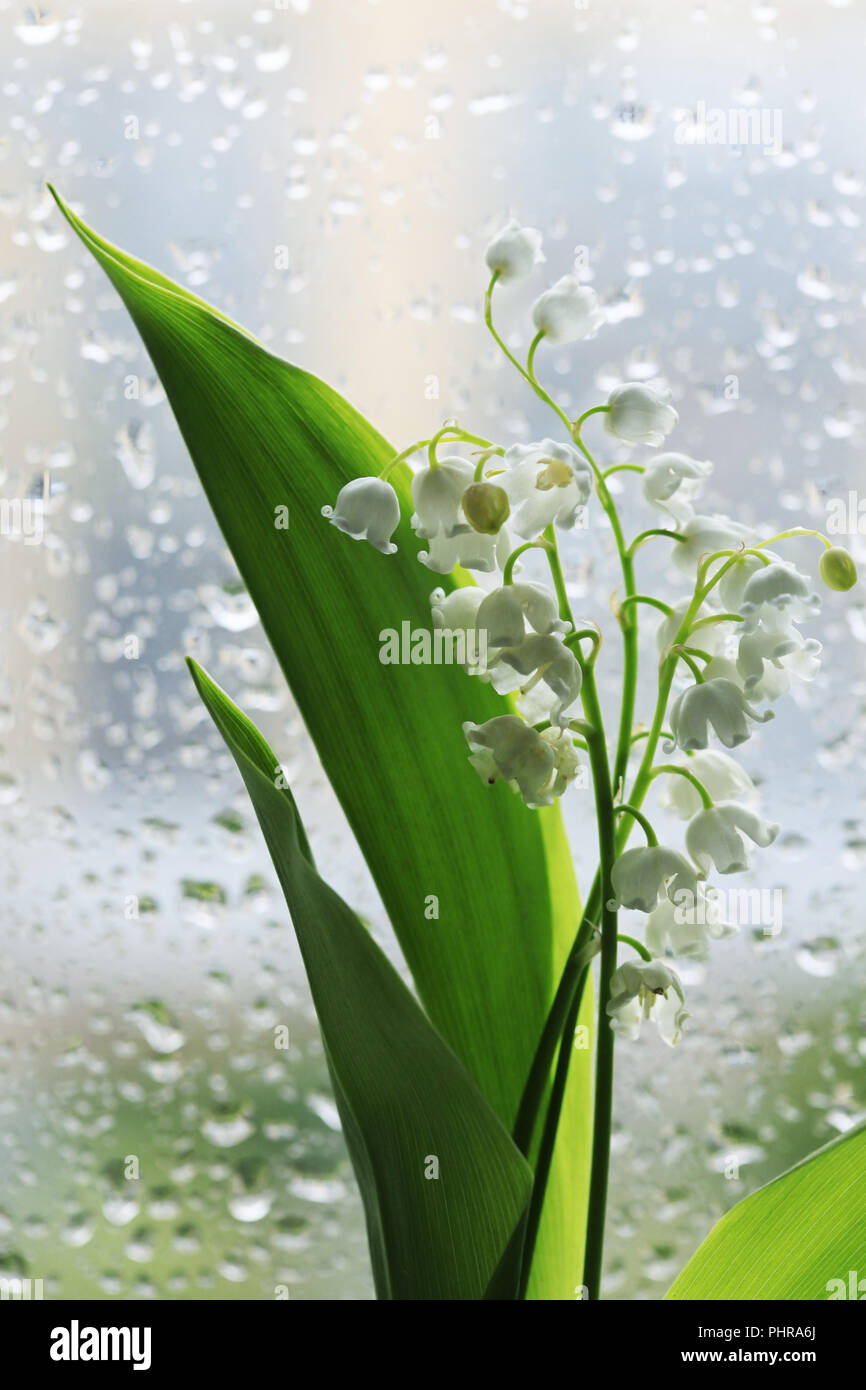At the head of the bride valley hi-res stock photography and images - Alamy