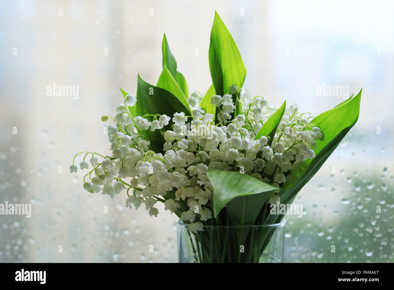 Bouquet of Lilies of the Valley Stock Photo - Alamy