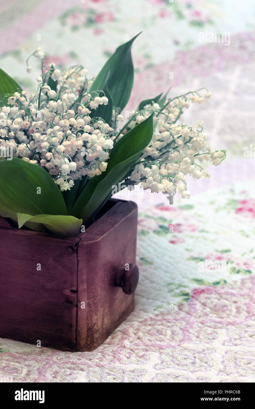 Bouquet of Lilies of the Valley Stock Photo - Alamy