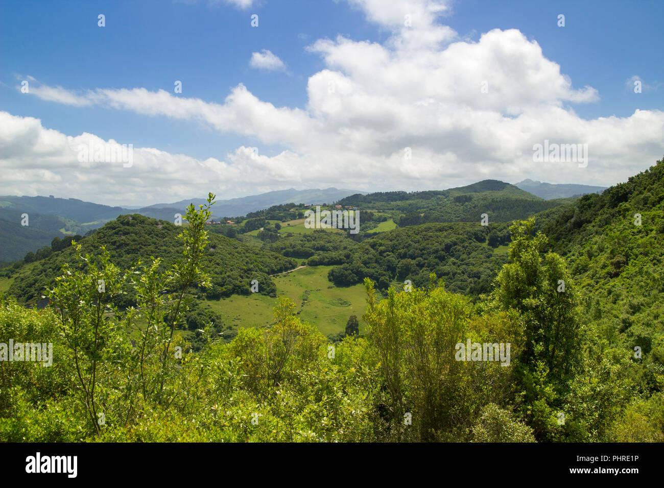 Cantabria, Liendo municipality, green hills and fields Stock Photo