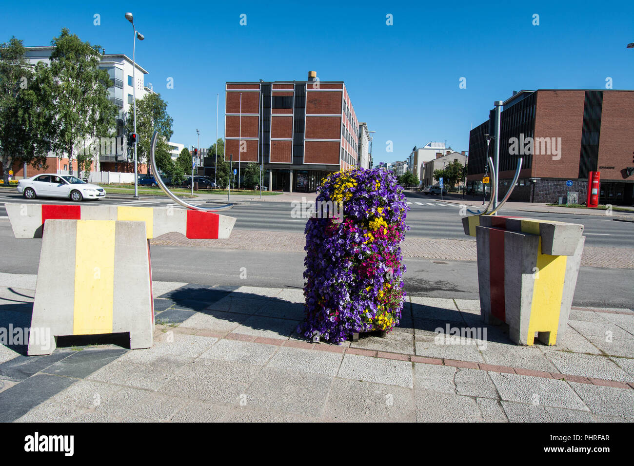 Flowers in Rovaniemi Finland Stock Photo Alamy