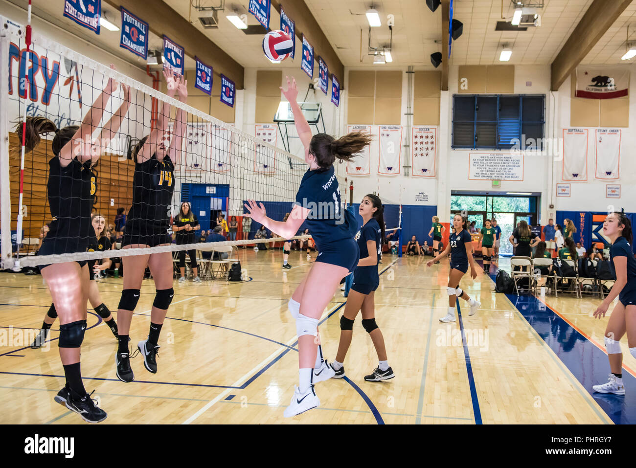 Middle School Girls Volleyball Match High Resolution Stock Photography And Images Alamy Middle School Girls Volleyball Match High Resolution Stock Photography And Images Alamy