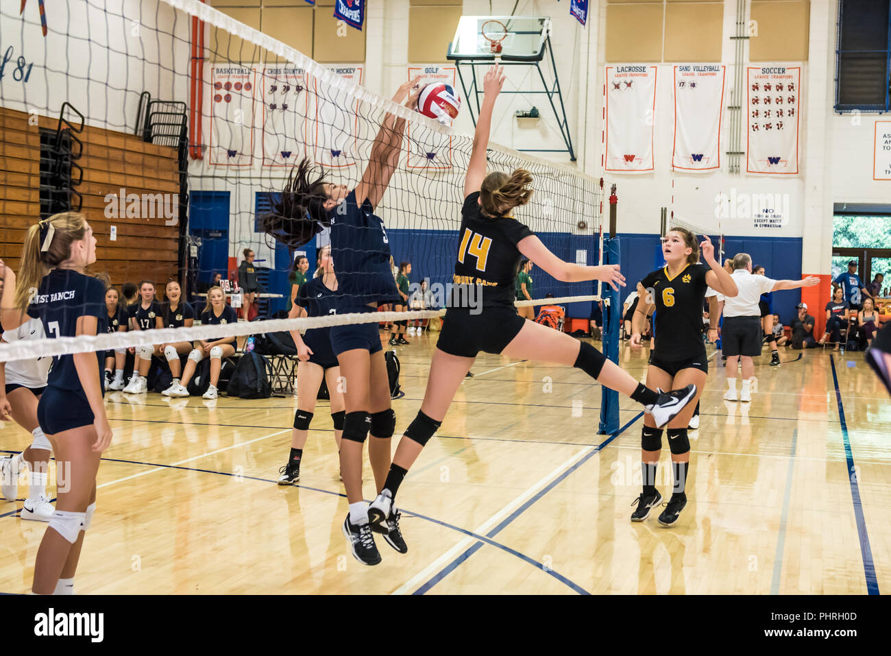 Middle School Girls Volleyball Match High Resolution Stock Photography And Images Alamy Middle School Girls Volleyball Match High Resolution Stock Photography And Images Alamy