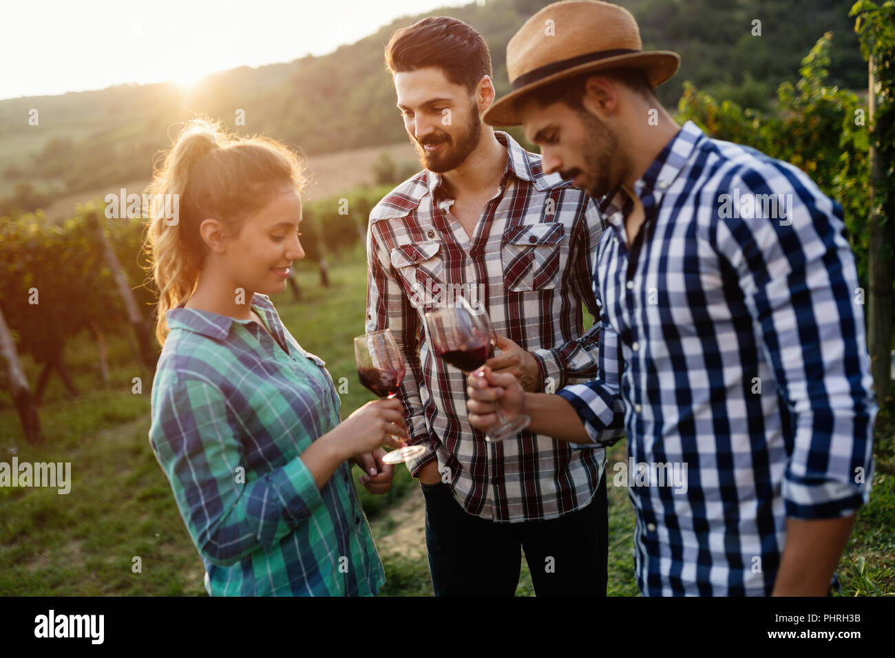 People tasting wine in vineyard Stock Photo - Alamy
