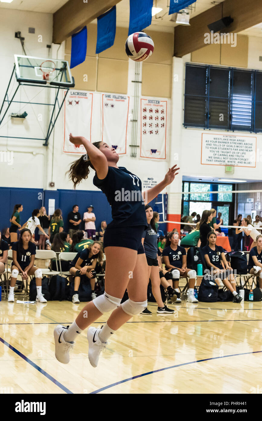 West Ranch High School Volleyball Pleyer From The Freshman Sophomore Team Jumps High In The Air To Hit Her Serve During Game Of Westlake California T Stock Photo Alamy West Ranch High School Volleyball Pleyer From The Freshman Sophomore Team Jumps High In The Air To Hit Her Serve During Game Of Westlake California T Stock Photo Alamy