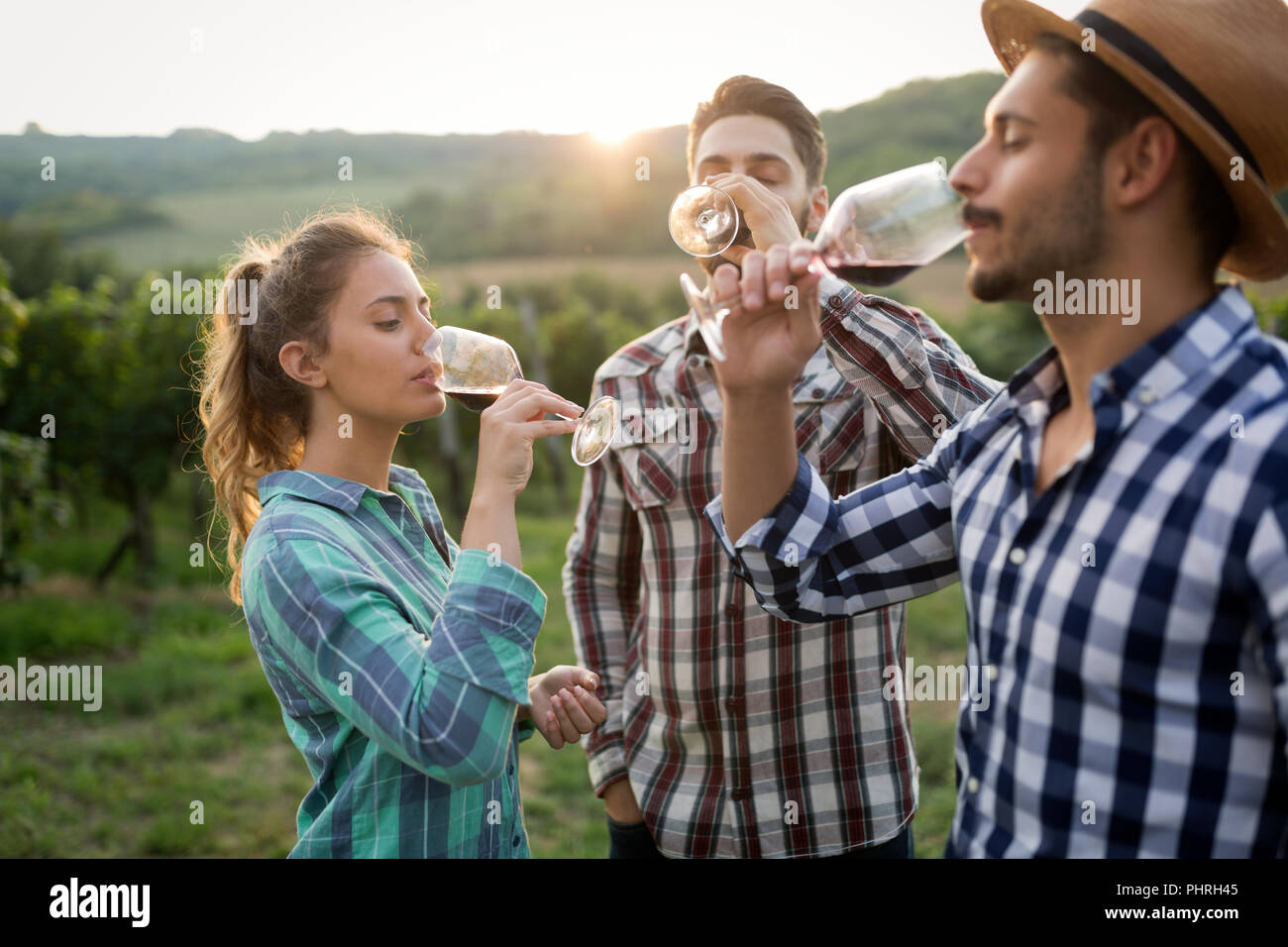 People tasting wine in vineyard Stock Photo - Alamy