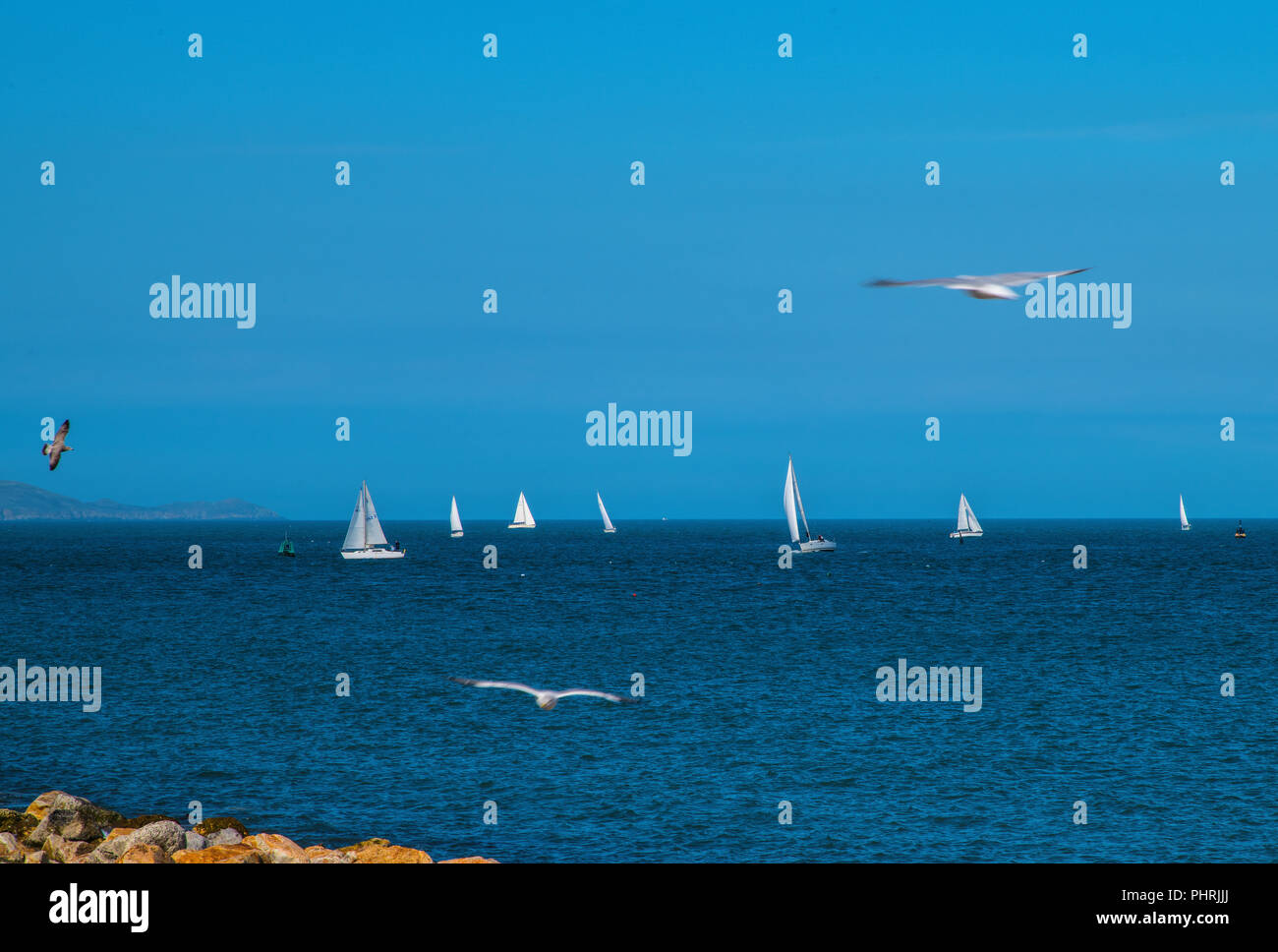 Sailing Boats Howth Co. Dublin. Ireland Stock Photo Alamy