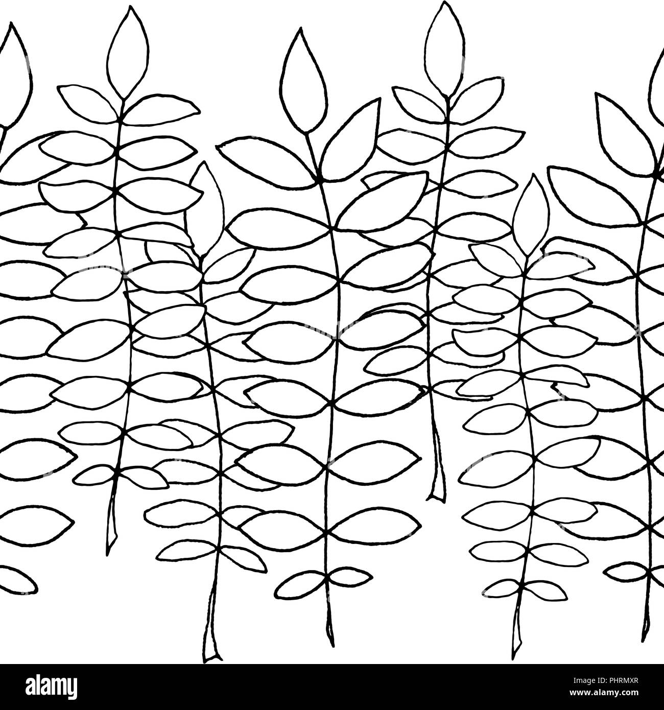 repeatable seamless line drawing leaf border Stock Photo Alamy