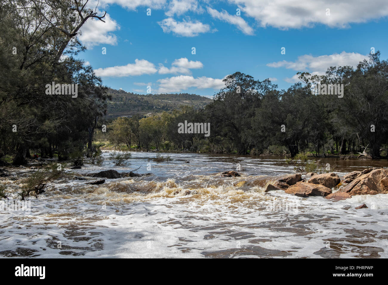 Swan River in Flood, Walyunga National Park, WA, Australia Stock Photo
