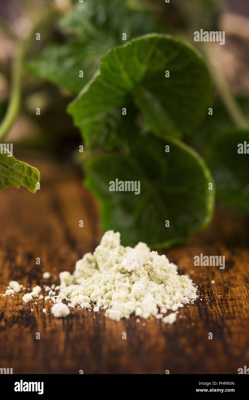Dry powder Japanese horseradish (wasabi Stock Photo Alamy
