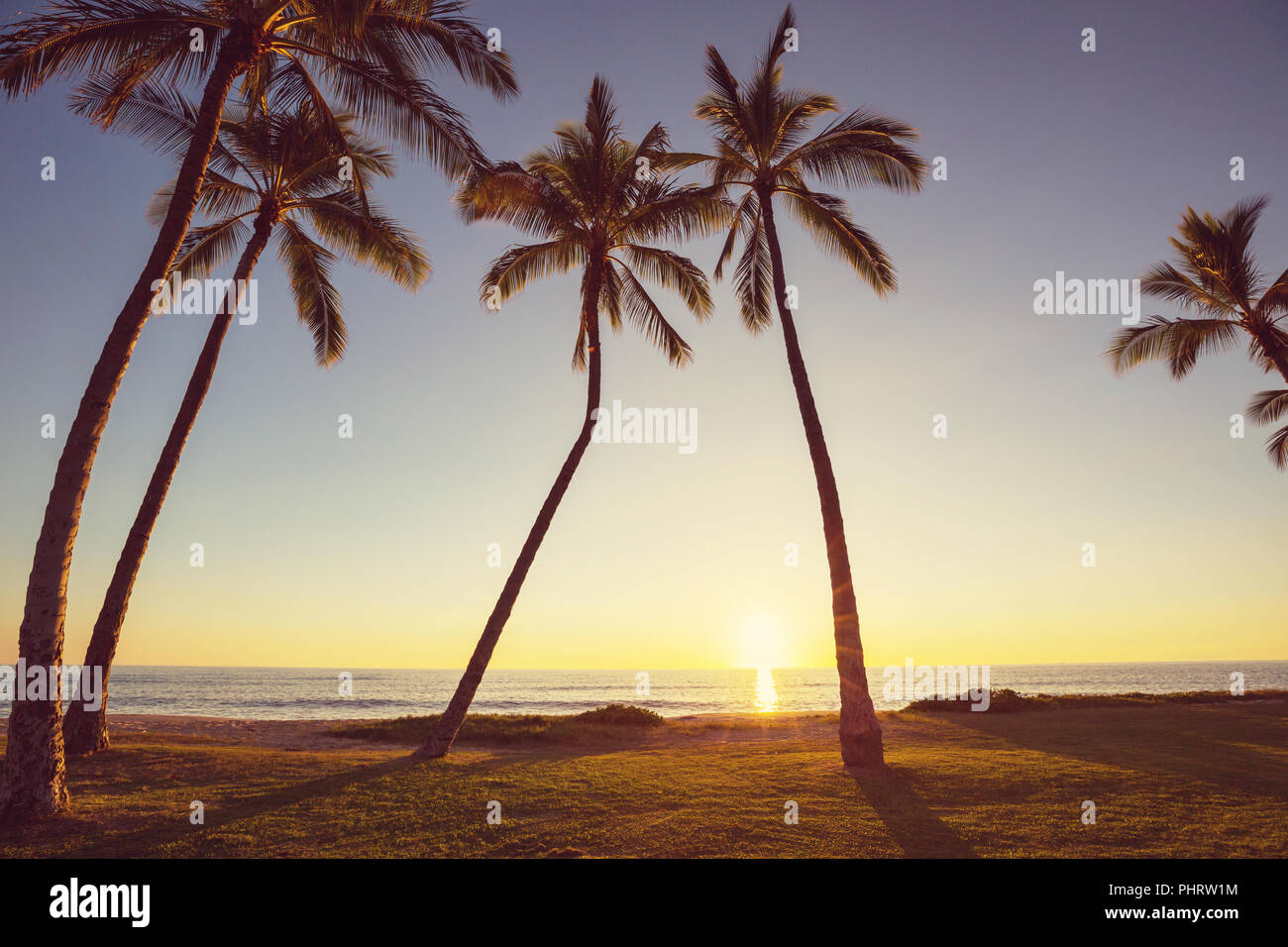 Hawaiian palm beach hi-res stock photography and images - Alamy