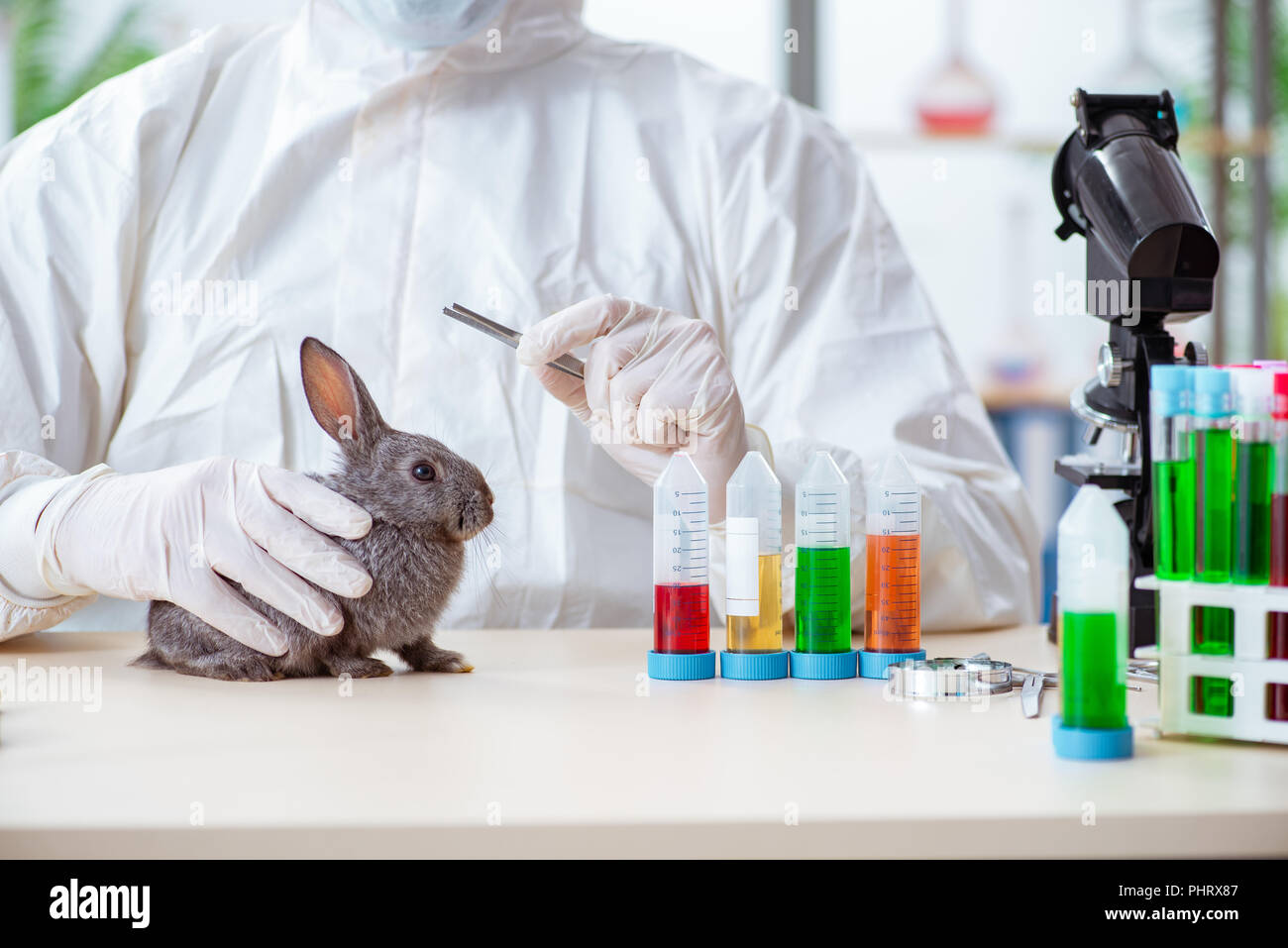 Rabbit With Ticks High Resolution Stock Photography and Images - Alamy