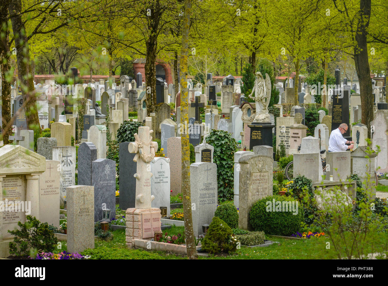 Nordfriedhof, Ungererstrasse, Muenchen, Bayern, Deutschland Stock Photo