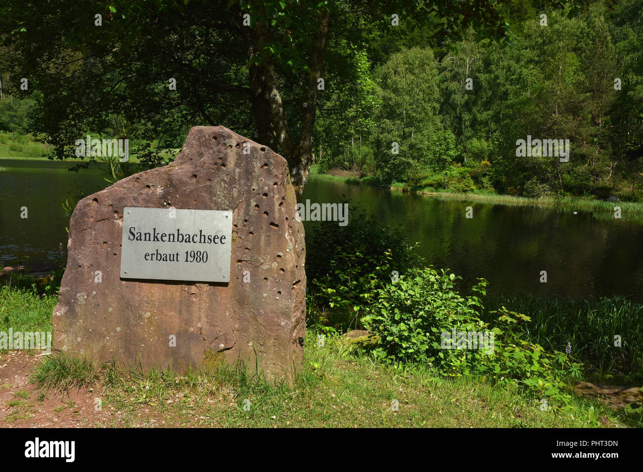 national park black forest; Germany; Sankenbach sea; Stock Photo