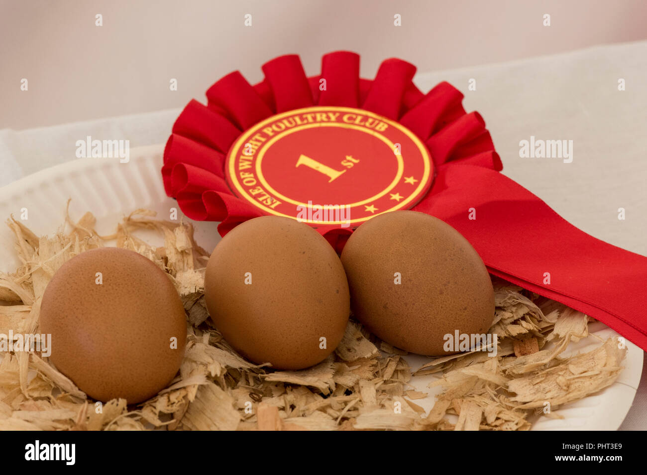 prize winning eggs at a chicken and poultry country show with 1st prize