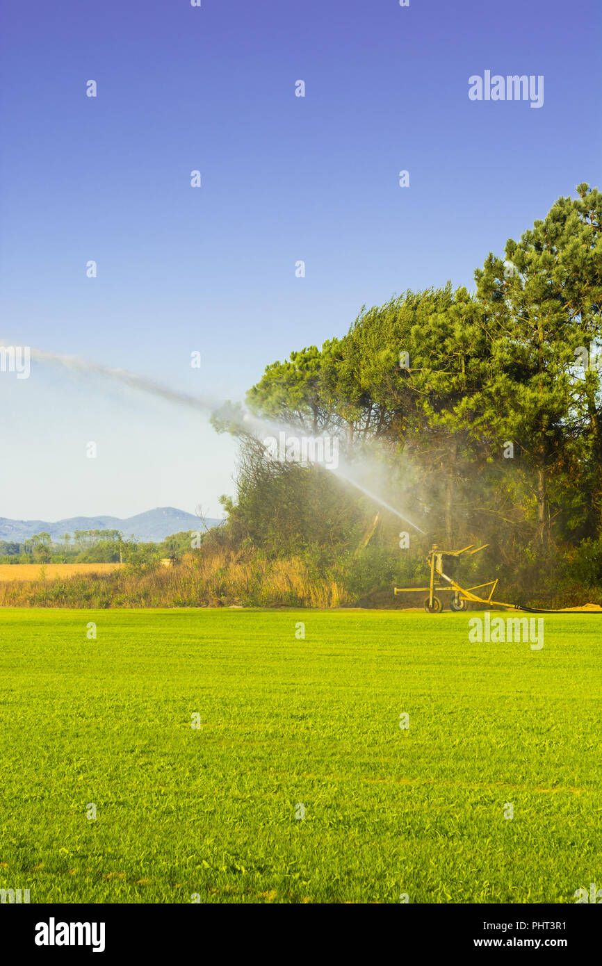 Sprinkler irrigation system in operation Stock Photo